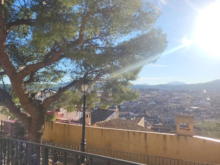 Sunlit townscape viewed through a foreground tree branch with mountains hazy in the distance.