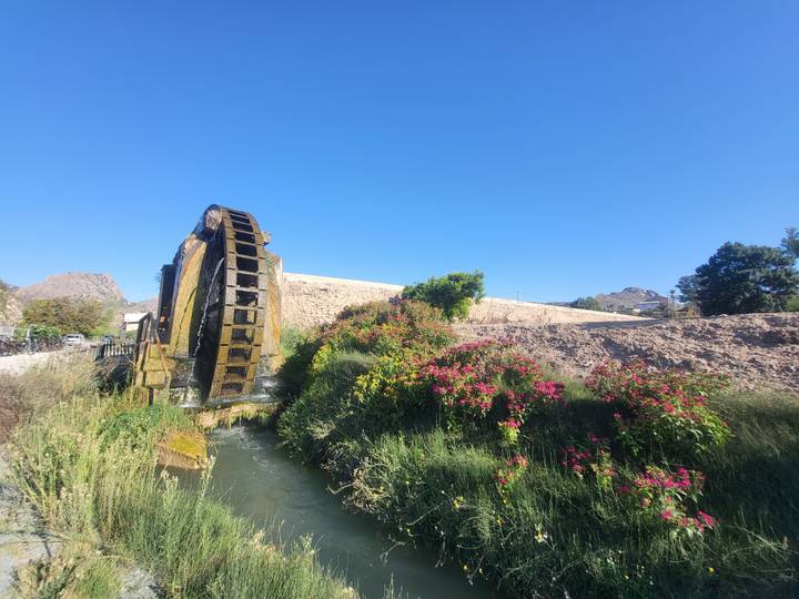 Large historic water wheel beside blooming flowers and a stone embankment under clear blue skies.