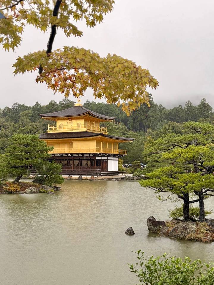 The golden Kinkaku-ji pavilion reflected in a tranquil garden pond among pine trees.
