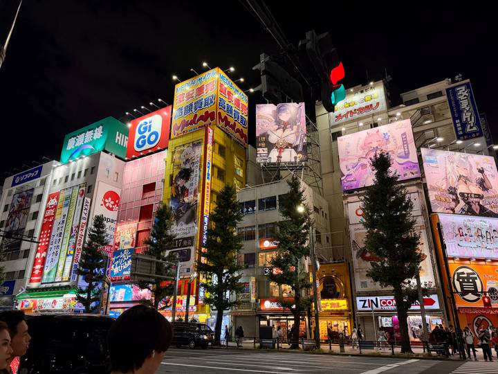 Vibrant anime and electronics billboards light up Akihabara’s streets at night.