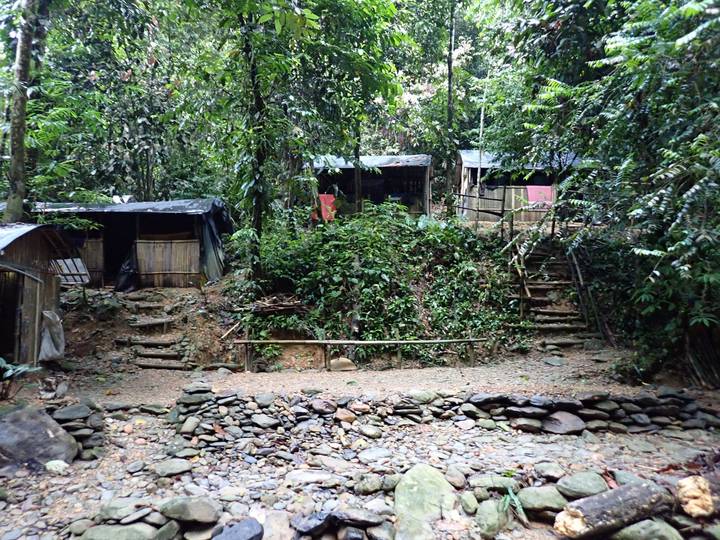 Basic jungle campsite huts built from bamboo and tarpaulin line a stony riverbank under thick rainforest.
