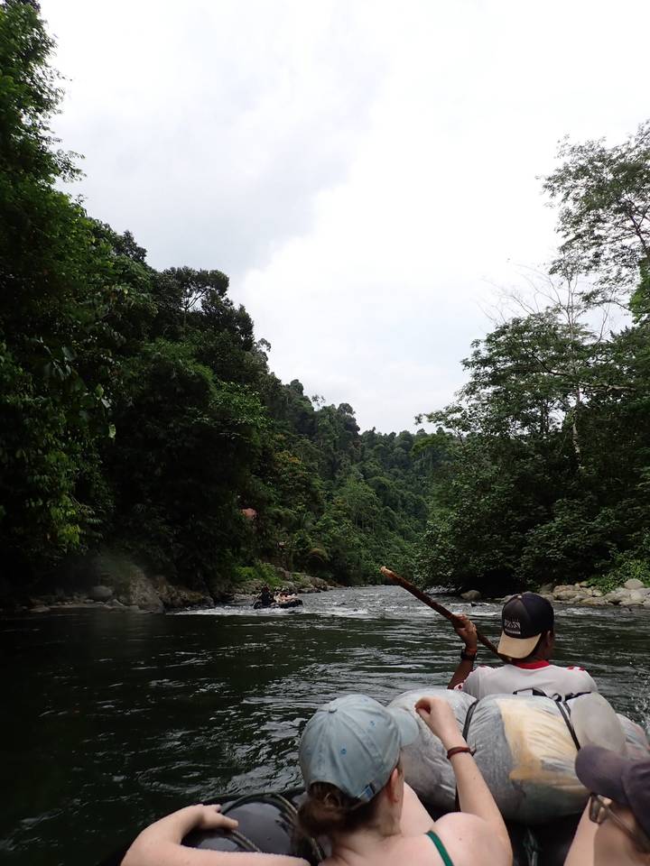 Inflatable rafts drift down a jungle river flanked by dense green slopes and overhanging trees.