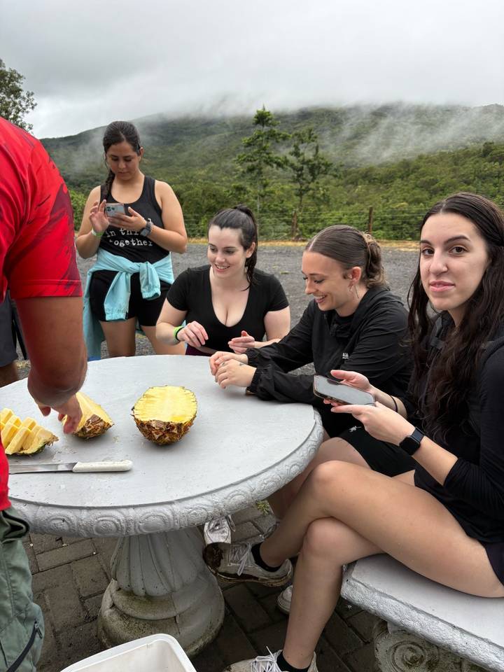 Travelers sample freshly cut pineapple slices at an outdoor table.