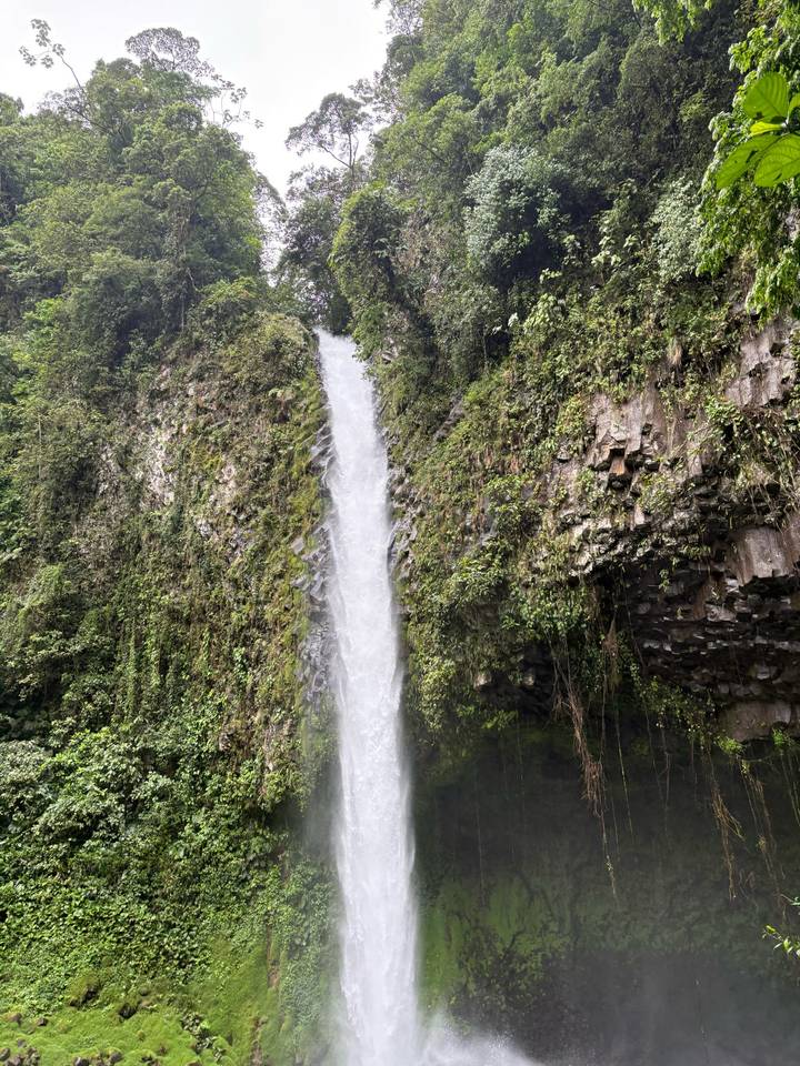Powerful tropical waterfall plunges down a moss-covered cliff into a rocky pool.