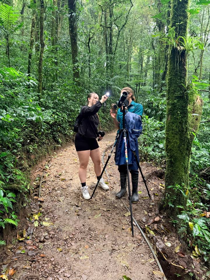 Travelers use a flash and camera on a tripod to capture rainforest wildlife along a muddy trail.