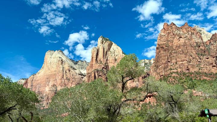 Red cliffs and spires rise beneath a bright blue sky in Zion National Park.