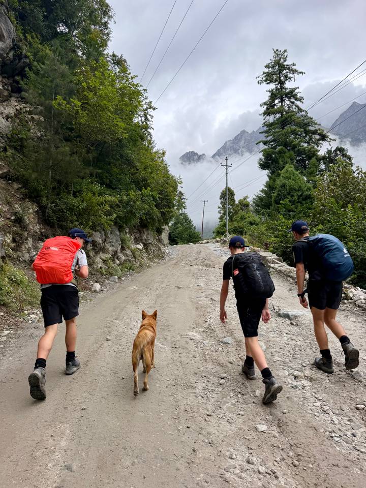Three young hikers with backpacks and a dog walk up a rocky mountain road lined with pine trees beneath mist-covered peaks.