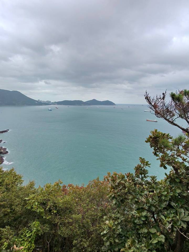 Wide seascape from a cliff viewpoint overlooking turquoise waters and anchored ships off Busan coast.