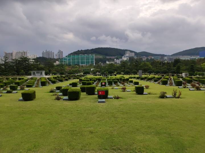 Orderly rows of hedged graves and memorials with urban skyline beyond at UN Memorial Cemetery, Busan.
