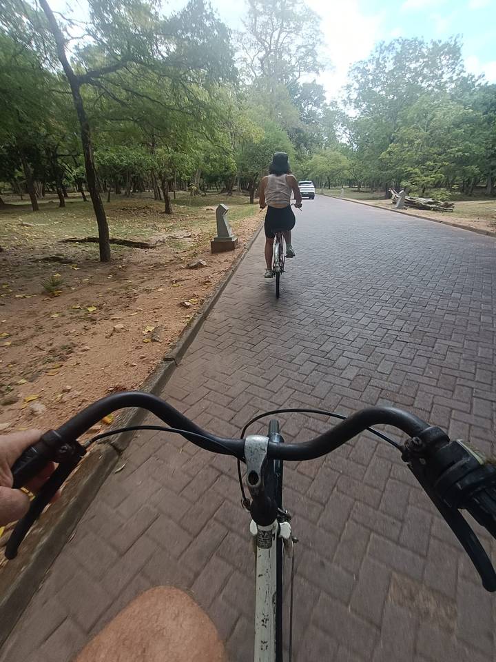 Handlebar point-of-view of cyclists riding along a paved park road.