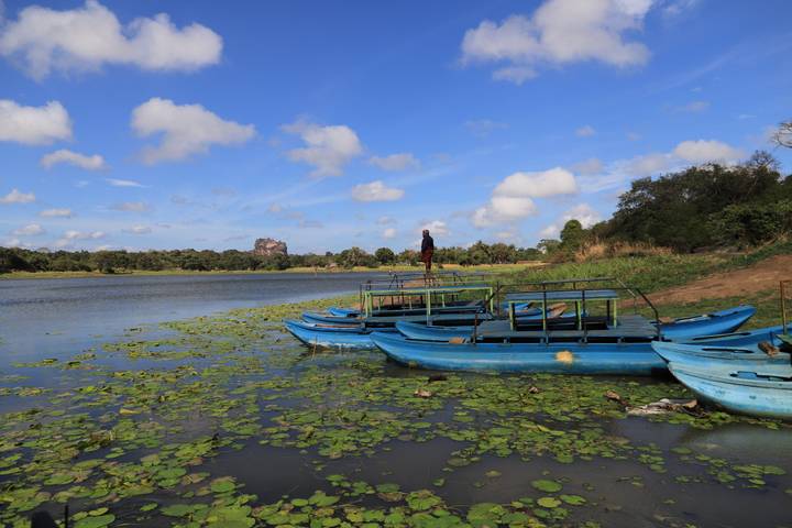 Blue paddle boats float on a lily-covered lake with Sigiriya Rock rising in the distance.