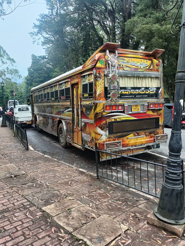 A brightly decorated Sri Lankan bus labeled 'Luxury Edition' is parked along a leafy street.