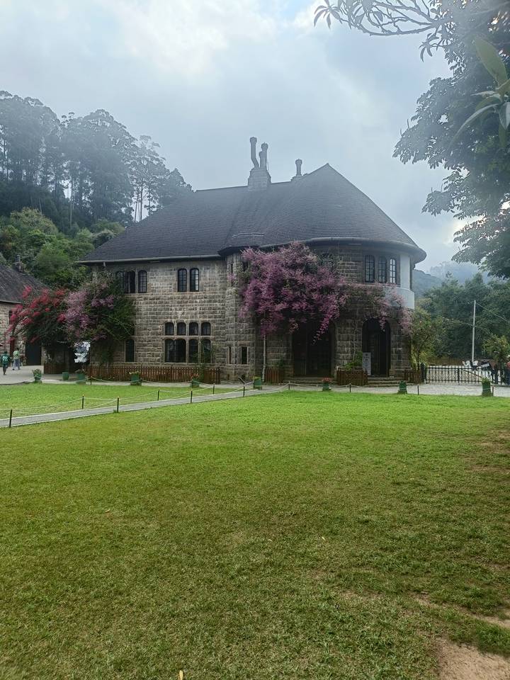 A grey-stone colonial style building draped with purple bougainvillea sits in a manicured lawn surrounded by trees.