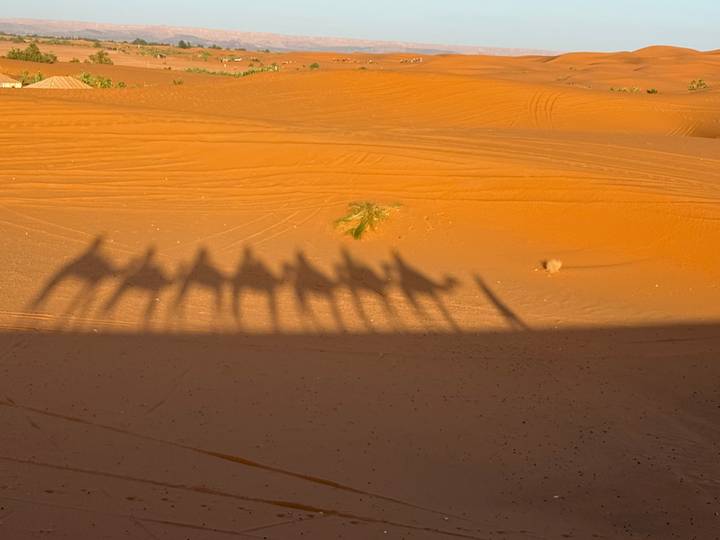 Long camel caravan shadows stretch over rippled orange sand dunes at sunrise.