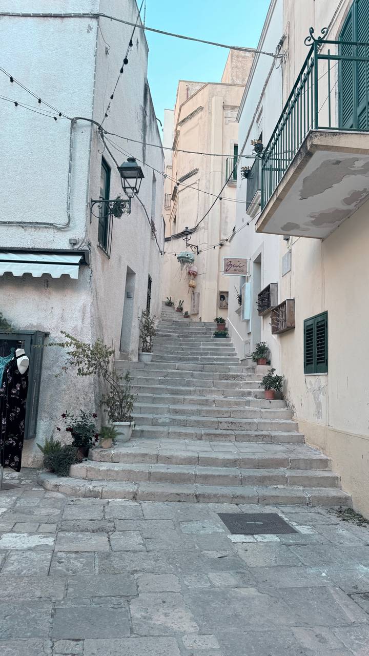 A steep flight of stone steps winds between pale plastered buildings in a quiet alley.