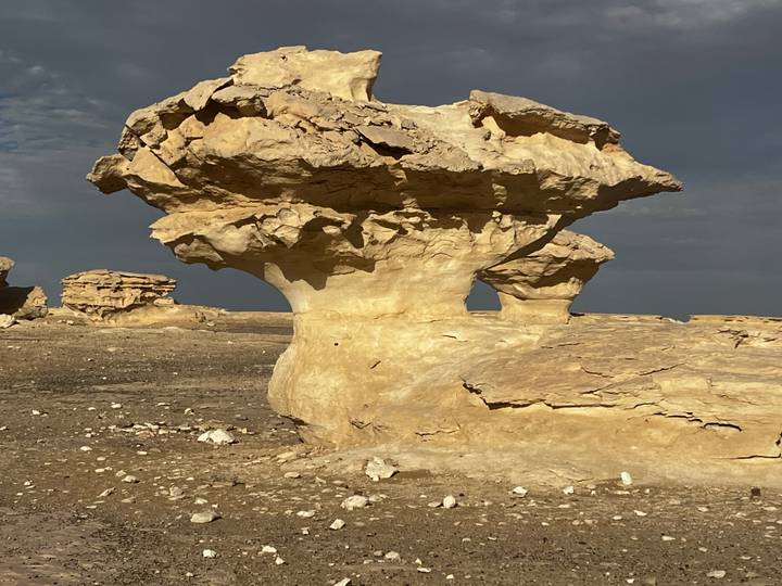 Massive fluted chalk formation resembling a mushroom trunk bathed in warm sunlight.