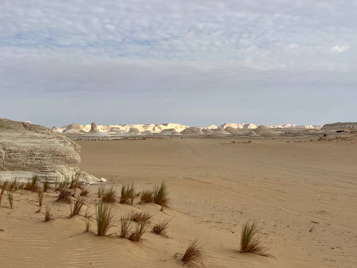 Wide view across a sandy desert plain with scattered white limestone outcrops under a pale sky.
