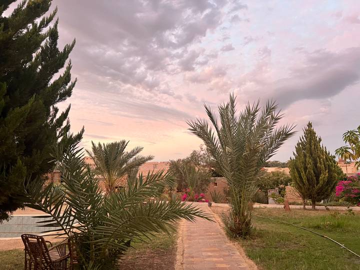 Soft pastel sky over an oasis garden with palm trees and flowering bushes.
