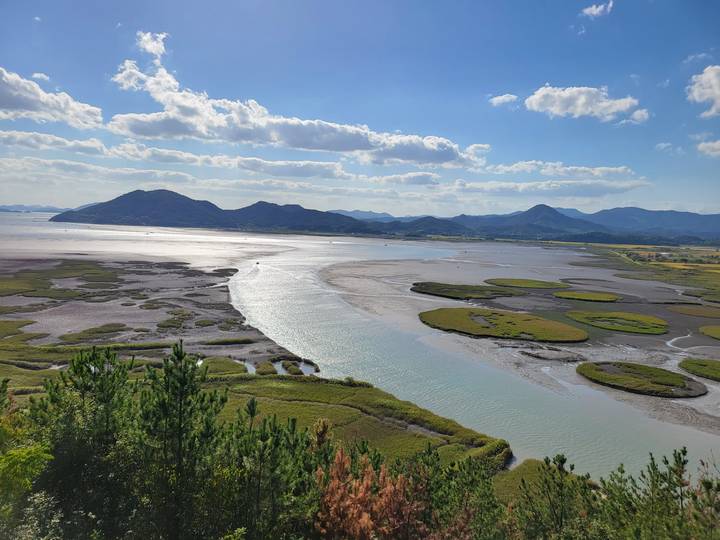 Sweeping estuary view with shimmering water channels and circular reed islands beneath scattered clouds.