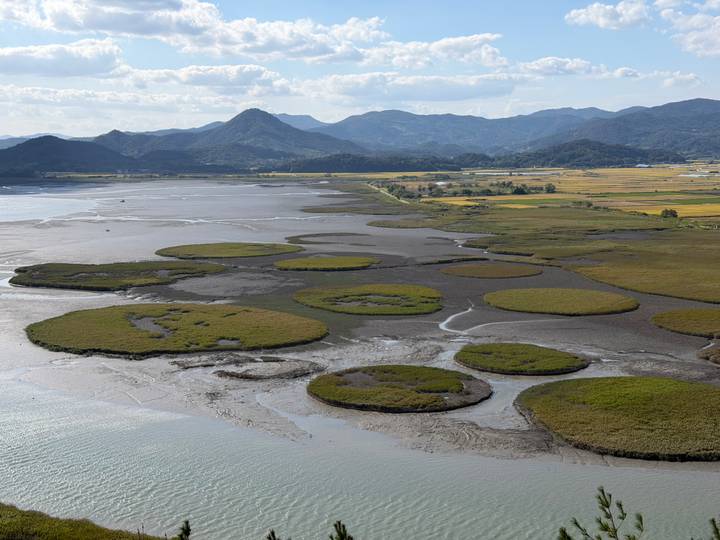 Expansive tidal wetland with circular reed islands backed by distant mountains under a sunny sky.