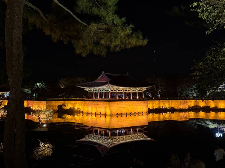 Night-lit pavilion reflects perfectly in a still pond surrounded by trees.
