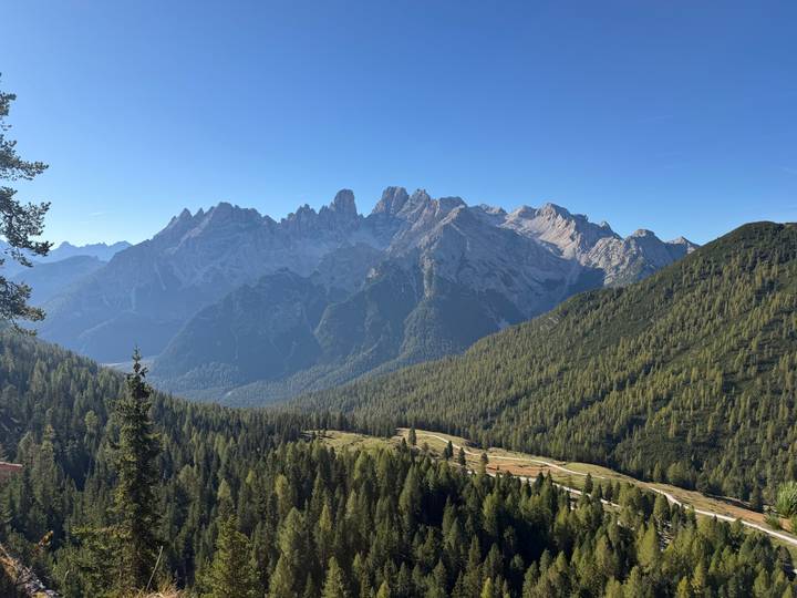 Expansive view of jagged Dolomite peaks towering above dense green forests and alpine meadows.