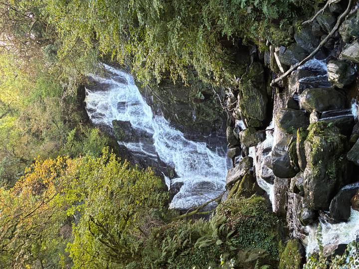 A multi-tiered forest waterfall cascades over mossy rocks surrounded by green foliage.