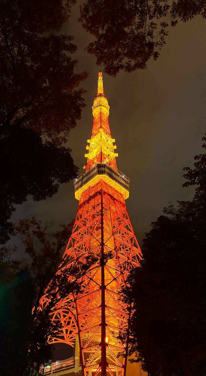 Tokyo Tower glows orange and yellow against a moody night sky, framed by tree silhouettes.