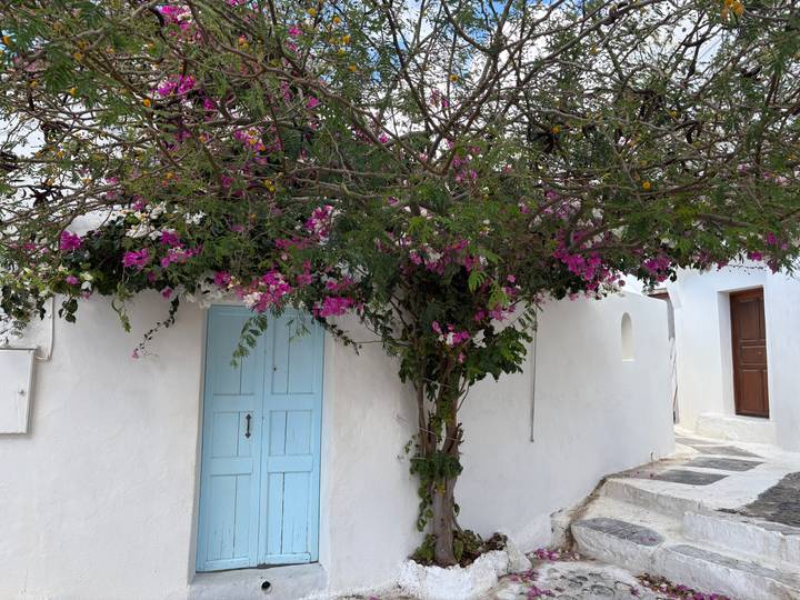 Whitewashed alley with light-blue wooden door under flowering bougainvillea on a Greek island.
