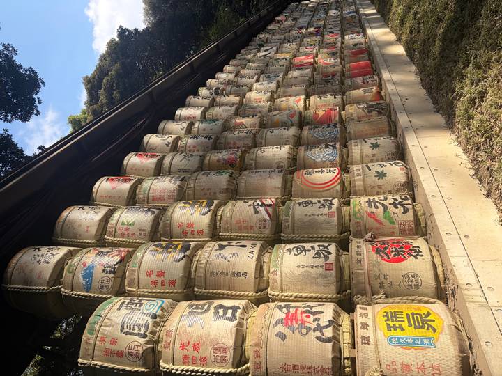 Rows of decorative sake barrels stacked along a shrine walkway under dappled sunlight.
