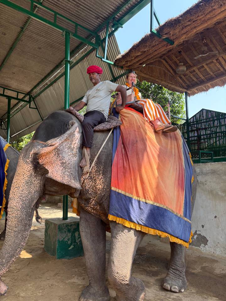Two riders sit upon a decorated elephant under a shaded platform during an attraction visit.