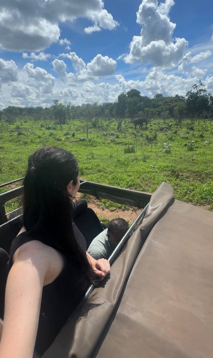 A woman in a safari jeep watches an elephant grazing on lush green grass in Sri Lanka.