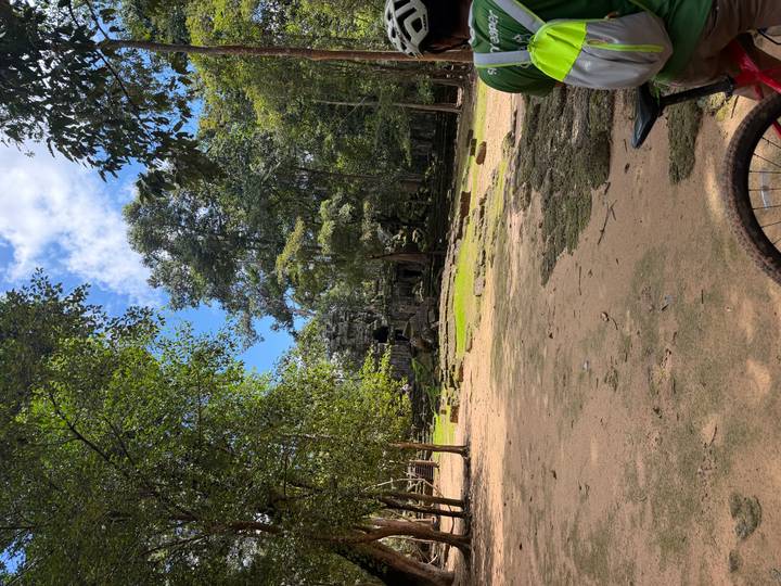 A quiet clearing with scattered temple stones beneath tall trees, a bicycle wheel entering the frame.
