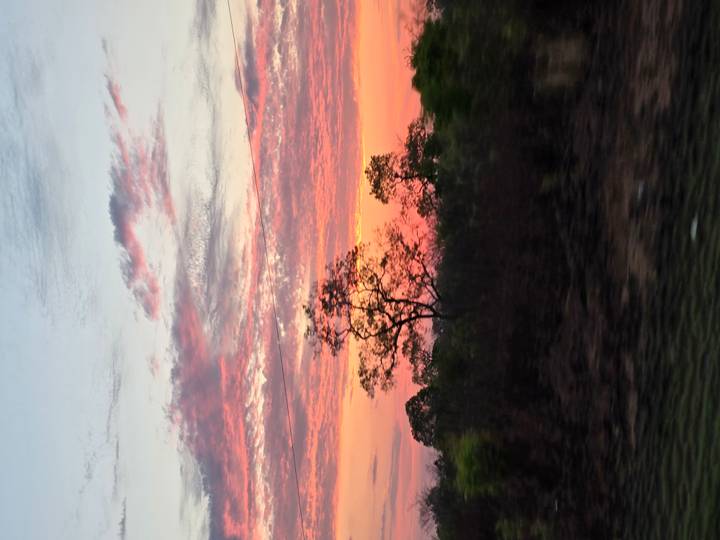 Vibrant sunset sky with pink and orange clouds above silhouetted trees.
