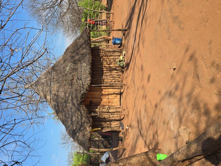 Traditional round hut with thatched roof in a sandy village setting.