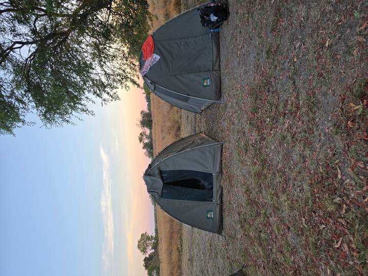 Two dome tents pitched on dry grassland at dusk with pastel sky.