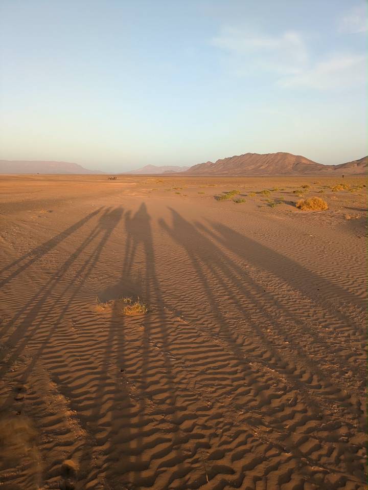 Long human shadows stretch across rippled sand of a vast desert plain with distant mountains.