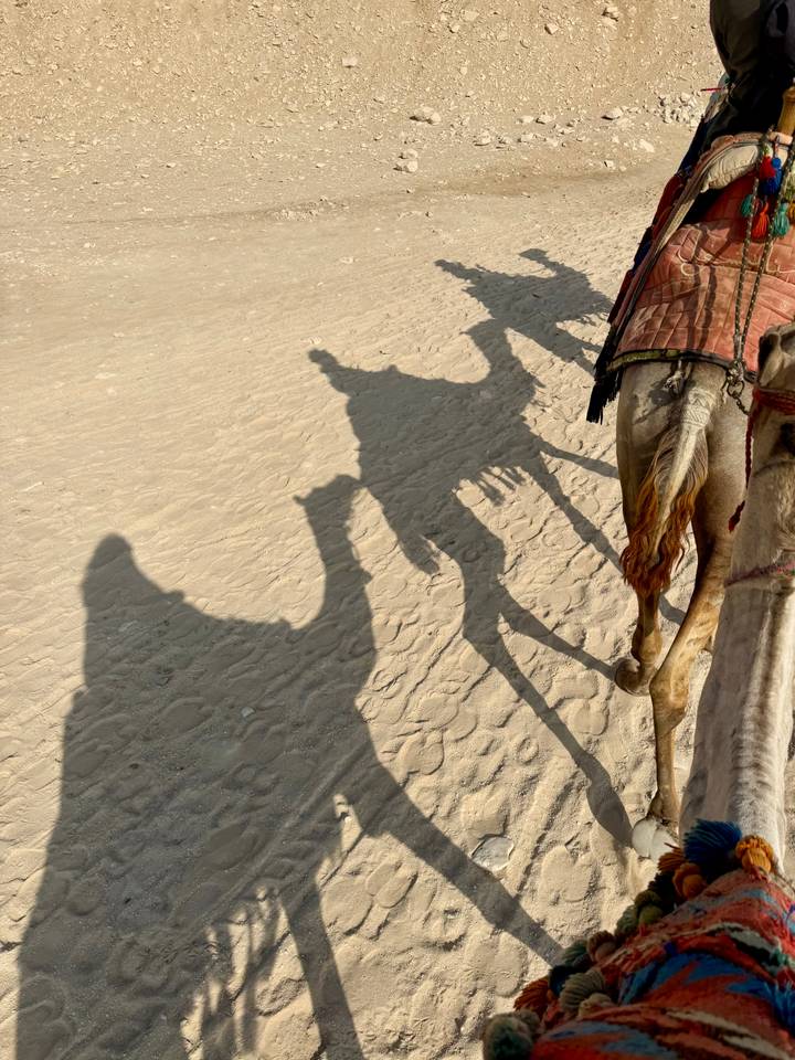 Crisp shadows of camel caravan stretch across golden desert sand.