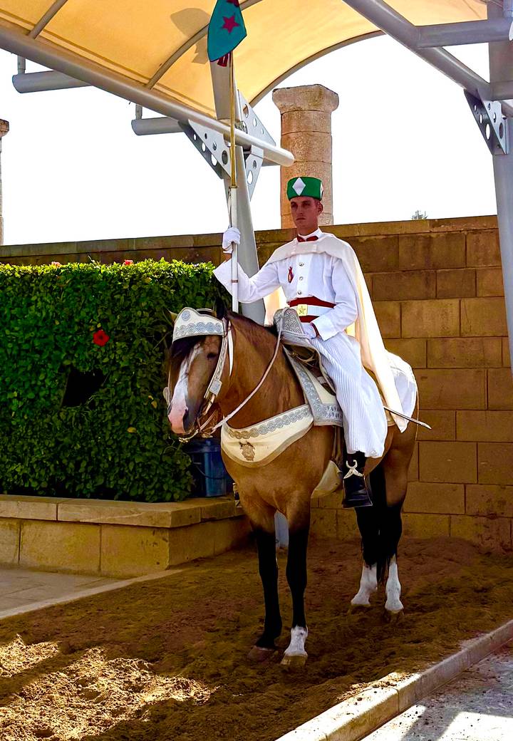 Ceremonial guard dressed in white sits on a horse beside a clipped hedge and sandstone wall.