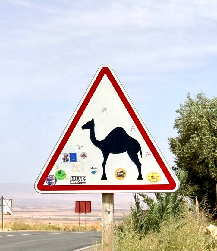 Triangular road sign featuring a camel silhouette against a pale desert sky, covered in travel stickers.