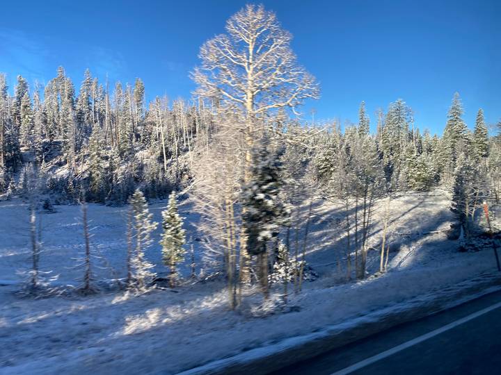 Motion-blurred view through a bus window of snow-covered pines and a frosty meadow under a clear blue sky.