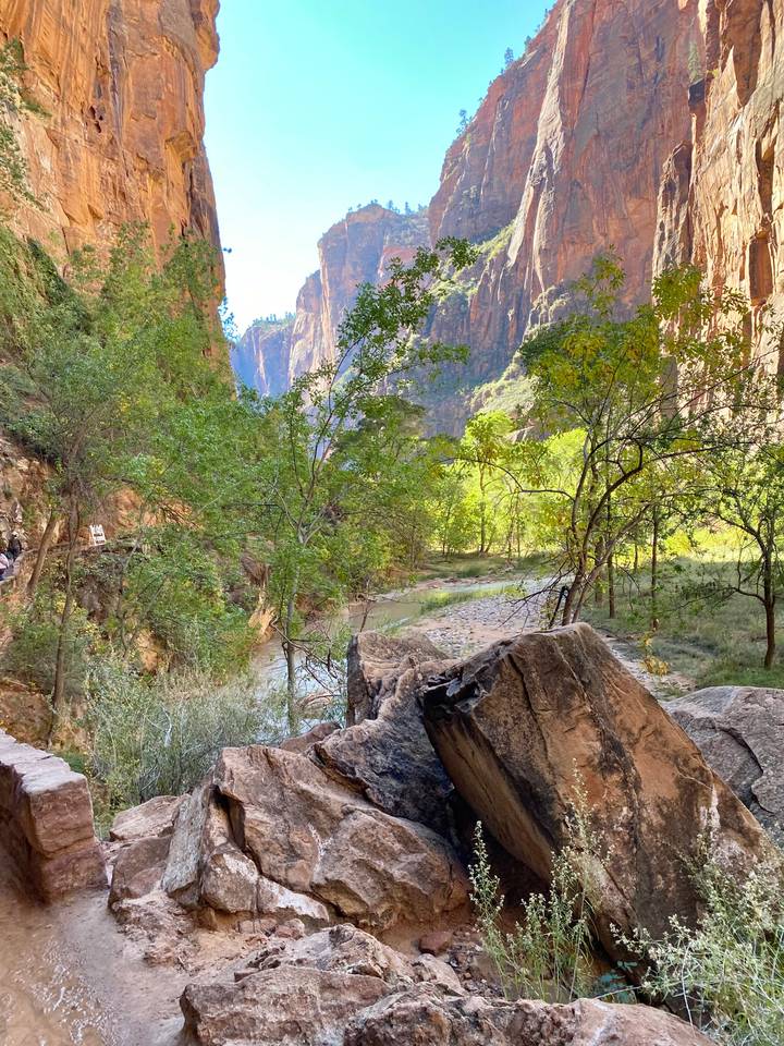 Shaded river trail flanked by green trees with towering canyon walls in Zion National Park.