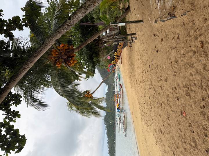 Sandy shoreline lined with boats and an arcing palm tree beside a colorful Port Barton sign on an overcast day.