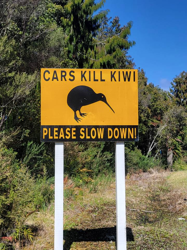 Un panneau de signalisation tourné avertissant d'un passage de kiwis.