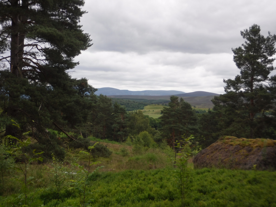 Forested landscape with distant hills.