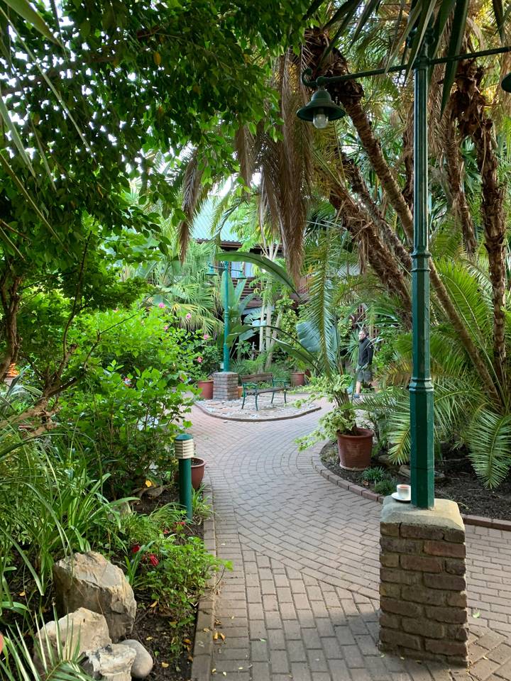 Lush garden path with tropical plants and brick pathway.