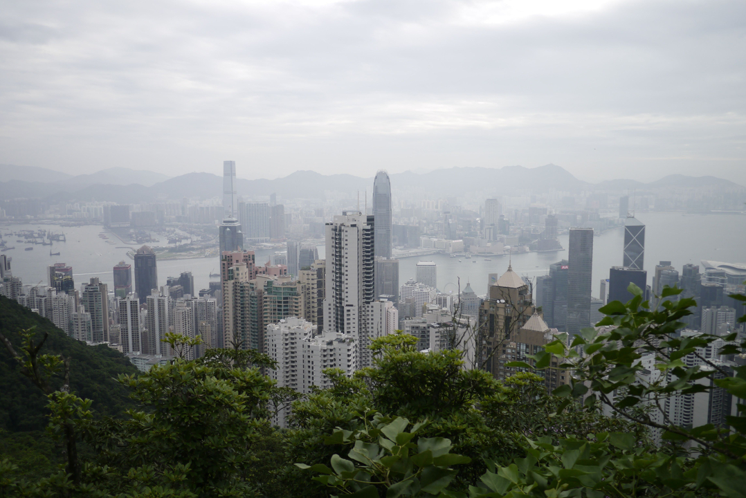 Ligne d'horizon d'une ville avec des gratte-ciel, vue d'une colline avec des feuillages au premier plan.