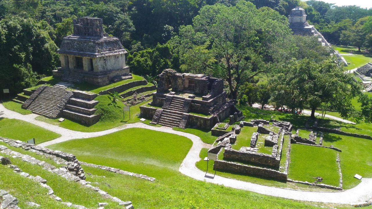 Anciennes ruines mayas entourées de verdure.