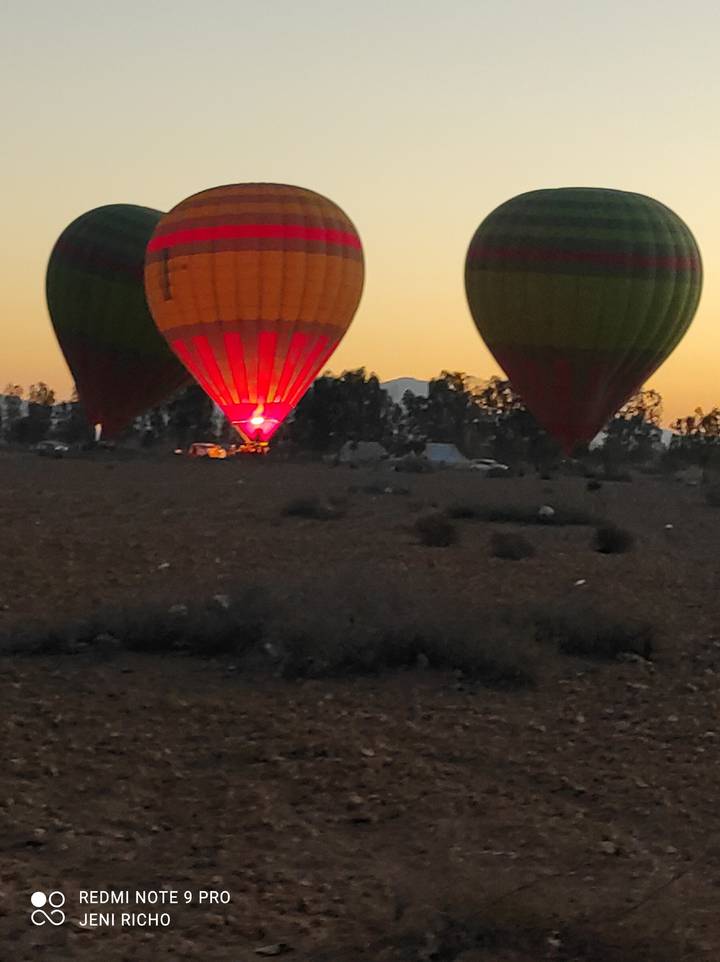Hot air balloons on the ground at dawn.