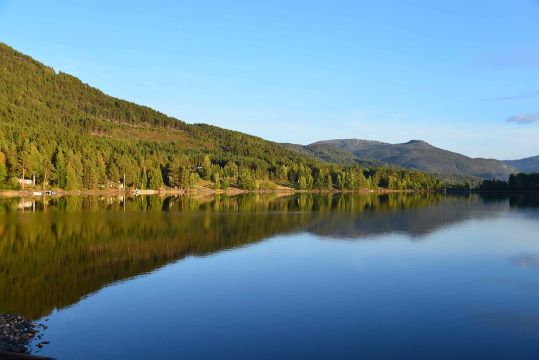 Scenic lake surrounded by mountains and a forest.